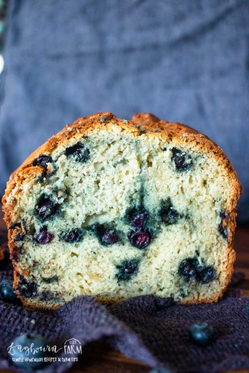 a crumb shot of the inside of a loaf of blueberry banana bread