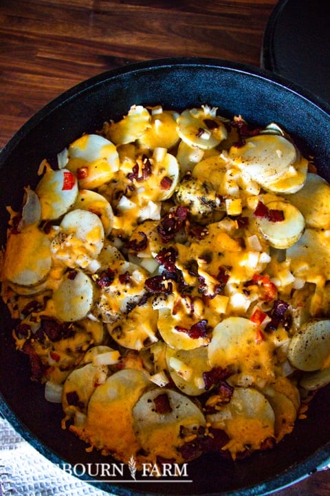 baked dutch oven potatoes with cheese and bacon bits