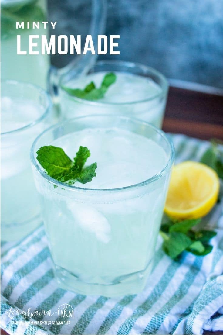 This mint lemonade recipe is one you’ll treasure this summer on hot days! Every sip will have you feeling refreshed.