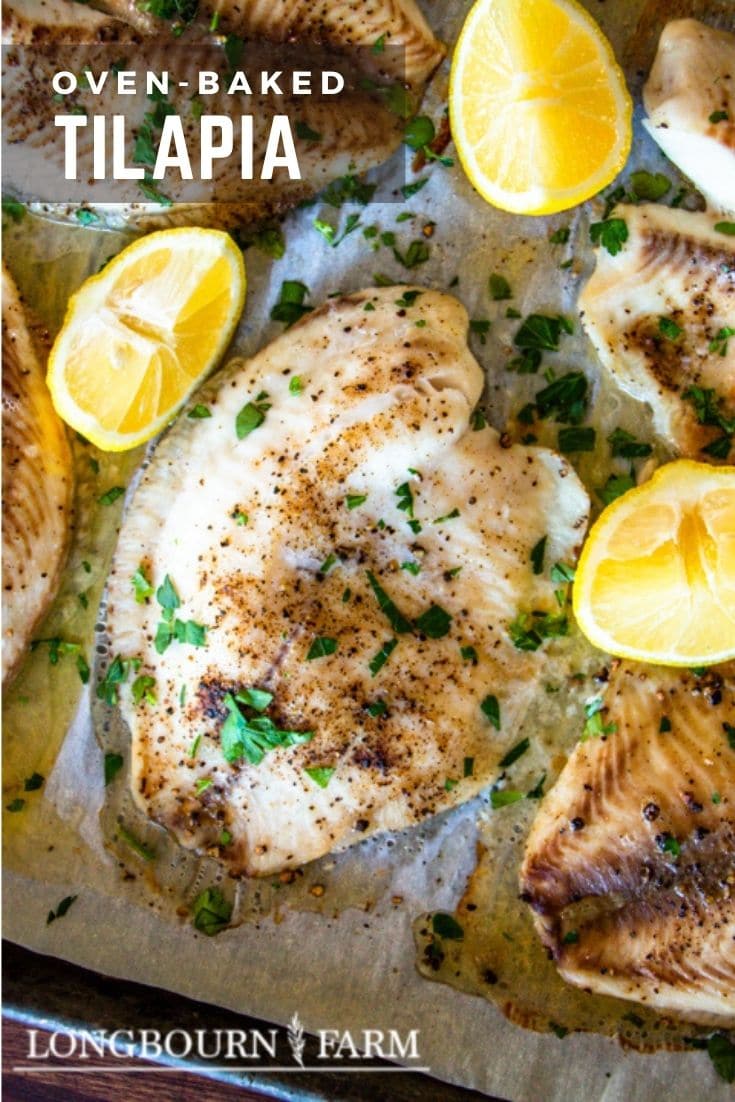 Oven baked tilapia is a delicious and affordable meal that brings fresh tasting fish to the table in a simple and tasty way.