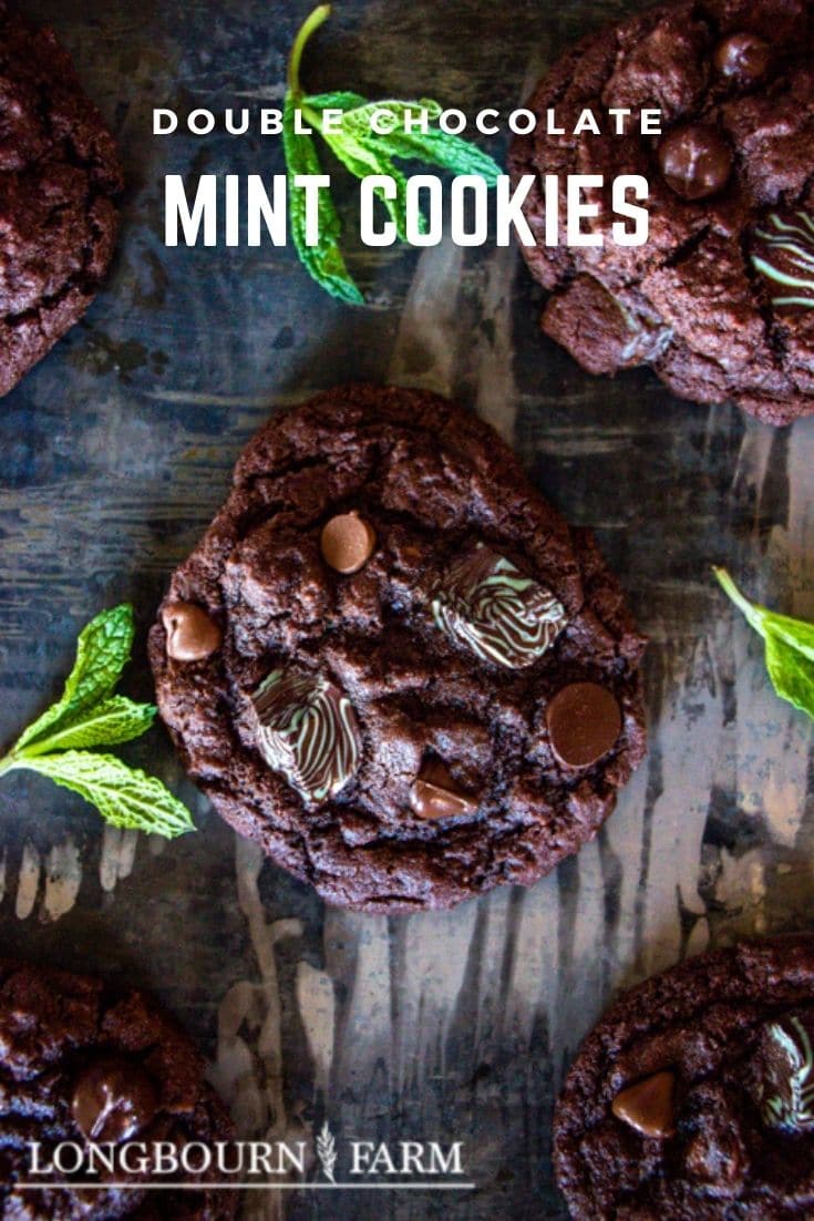 Double chocolate mint cookies are a fun and refreshing treat that really cannot be topped. Made with a chocolate mint cookie dough and filled with chocolate chips and minty chocolate chunk pieces, every cookie is packed with flavor and deliciousness.