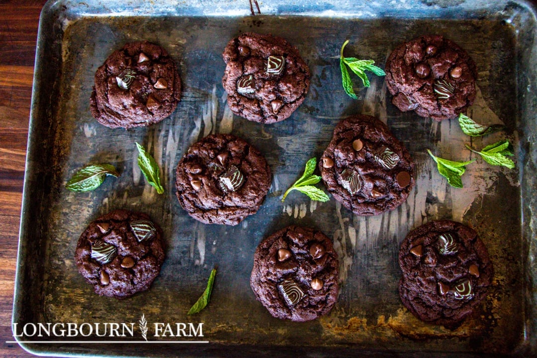 baking sheet full of double mint chocolate cookies with scattered fresh mint leaves