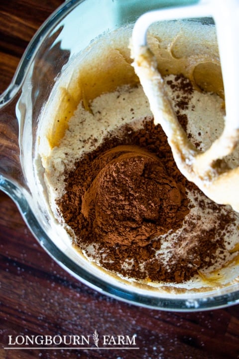 cocoa powder being added to cookie dough