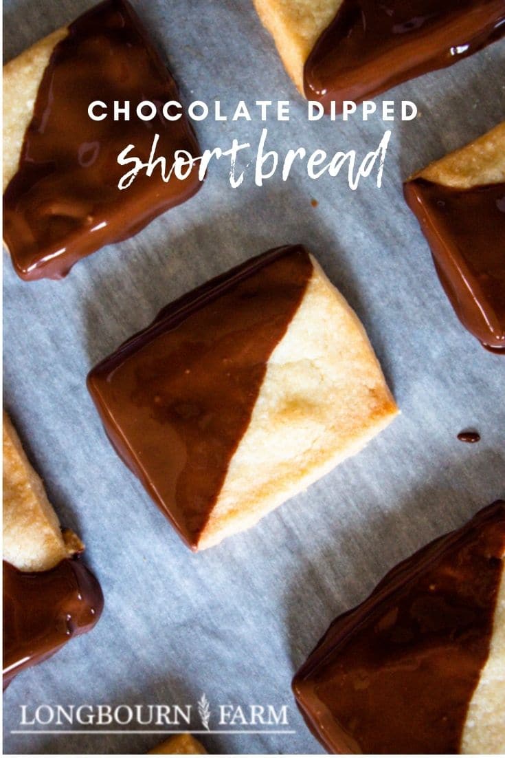 Chocolate dipped shortbread cookies are a timeless classic treat perfect for any occasion with their buttery, melt in your mouth texture!