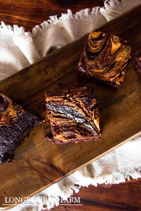 chocolate peanut butter cake squares arranged on a wooden board