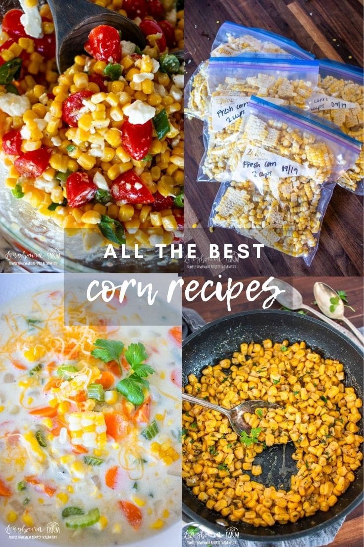 Corn is a wonderful vegetable with many different possibilities. It can be versatile and used in practically any dish!