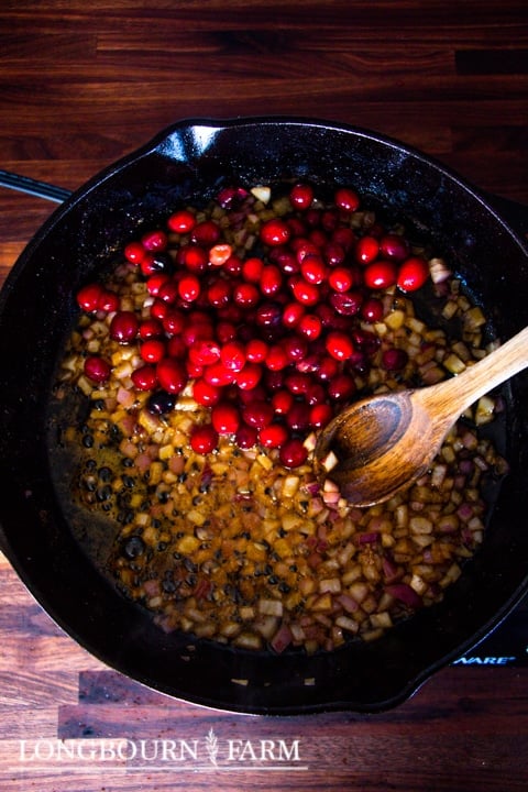 stirring cranberries into the cooked onion mixture in a cast iron skillet