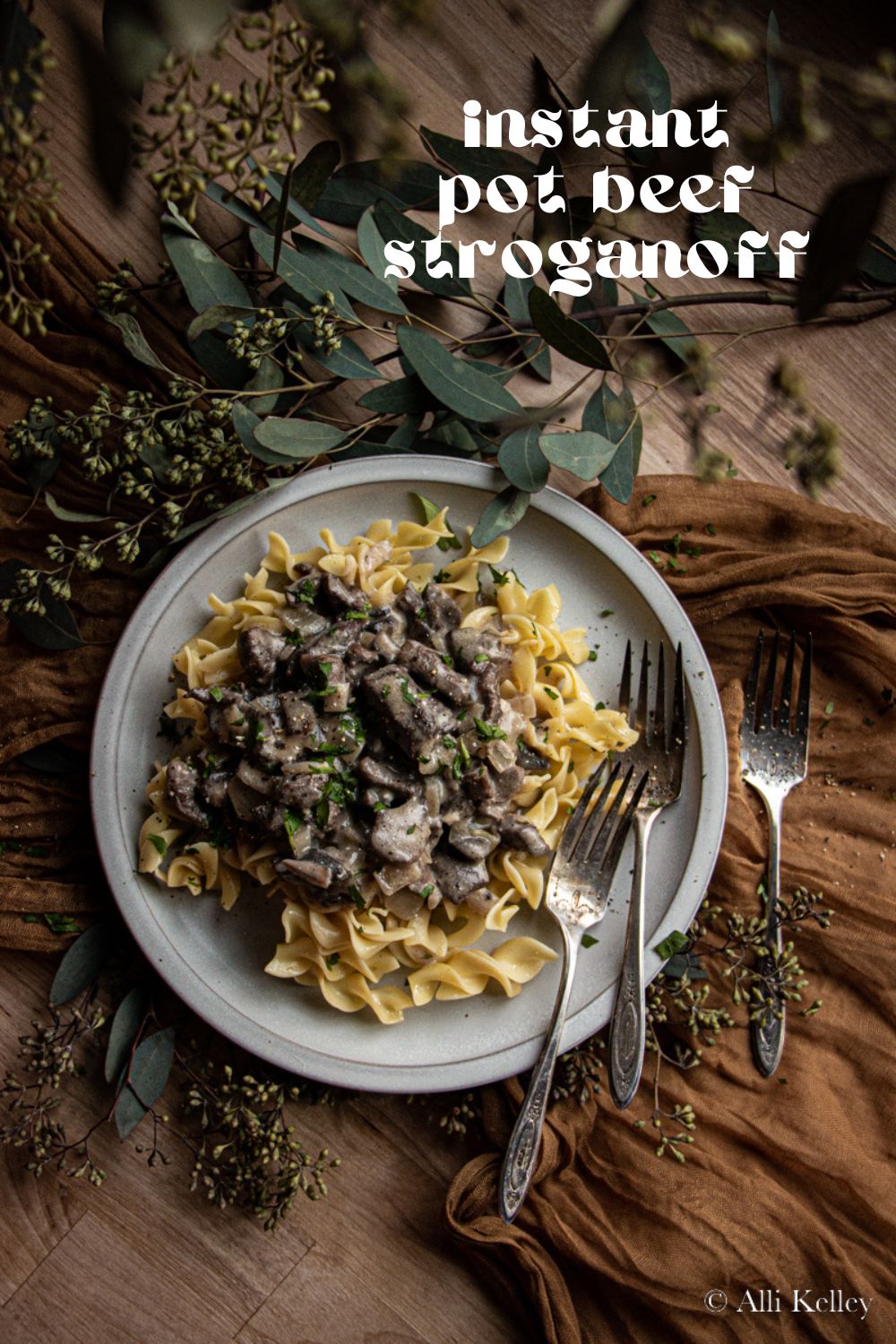 Stroganoff is one of those comfort dishes that everyone can enjoy and you can enjoy it even more with this Instant Pot beef stroganoff recipe. It’s an easy one pot recipe perfect for a fast dinner.