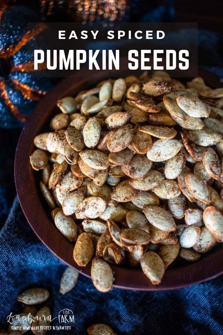 Roasted pumpkin seeds are a fall favorite and it’s not hard to see why. With all the pumpkin carving you’re bound to look up ways to use pumpkin seeds. This recipe is a super simple way to get the best spiced pumpkin seeds this season.