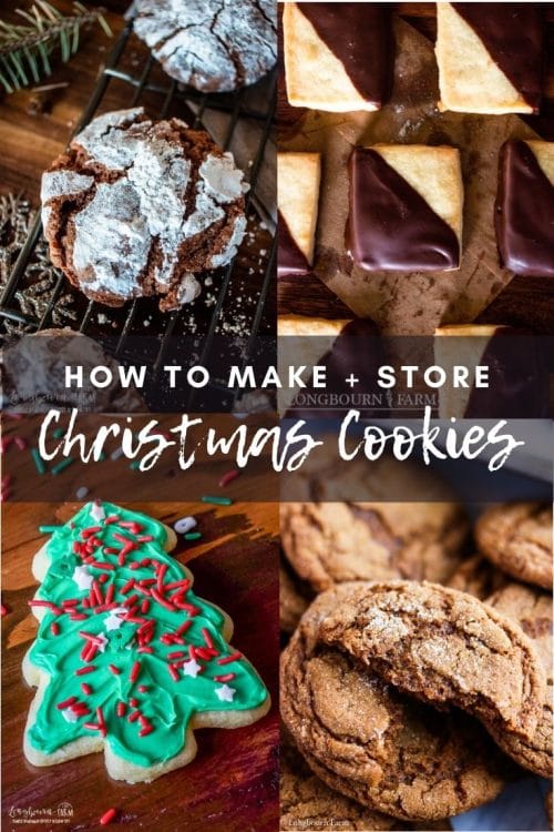 Get tips for making, storing, and freezing the best Christmas cookie recipes! These tips make getting ready for any family Christmas party a breeze.