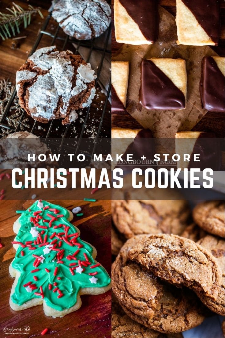 Get tips for making, storing, and freezing the best Christmas cookie recipes! These tips make getting ready for any family Christmas party a breeze.