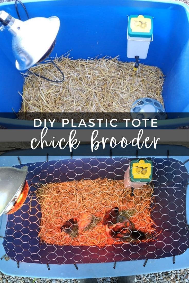 Easy DIY Chick brooder. Fast and easy to make, super simple to clean, and the perfect home for your little chicks!