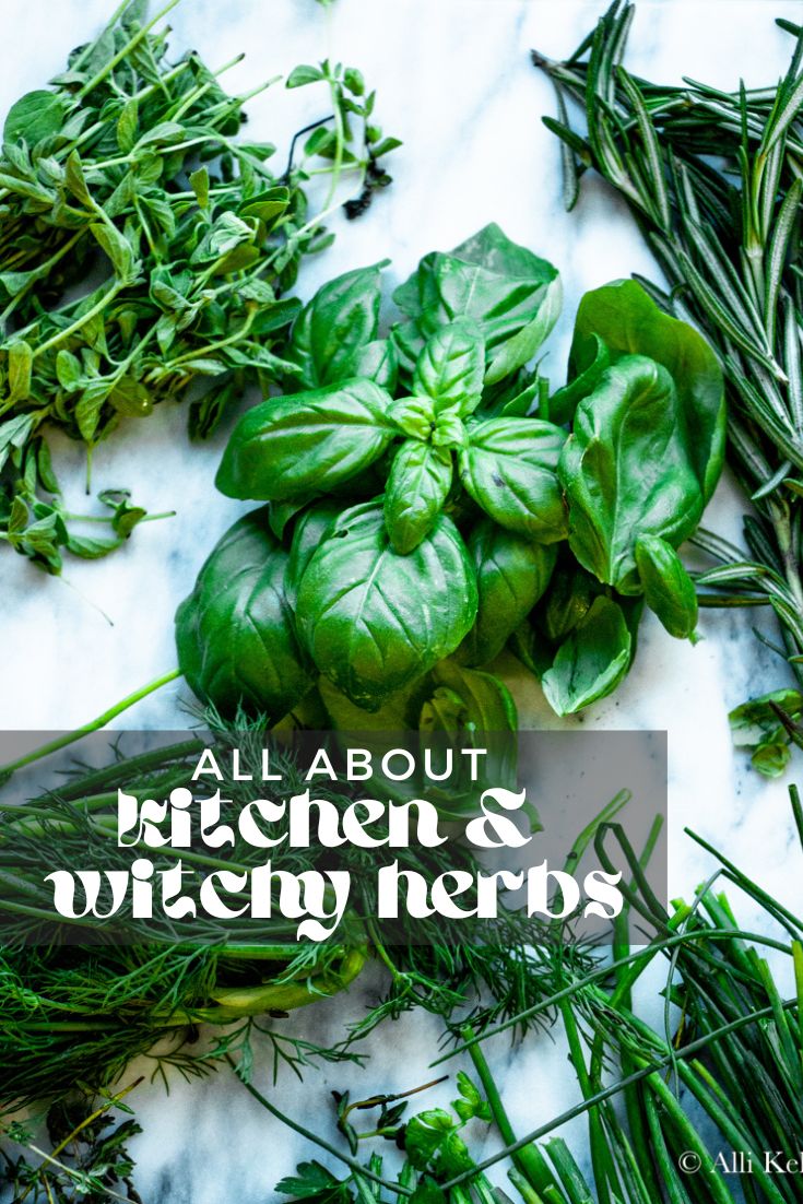 The chances are high that you have cooked with or eaten something cooked with herbs before. Use them in the kitchen or for health!