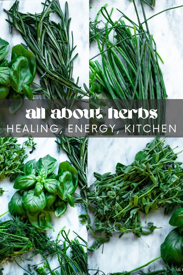 The chances are high that you have cooked with or eaten something cooked with herbs before. Use them in the kitchen or for health!