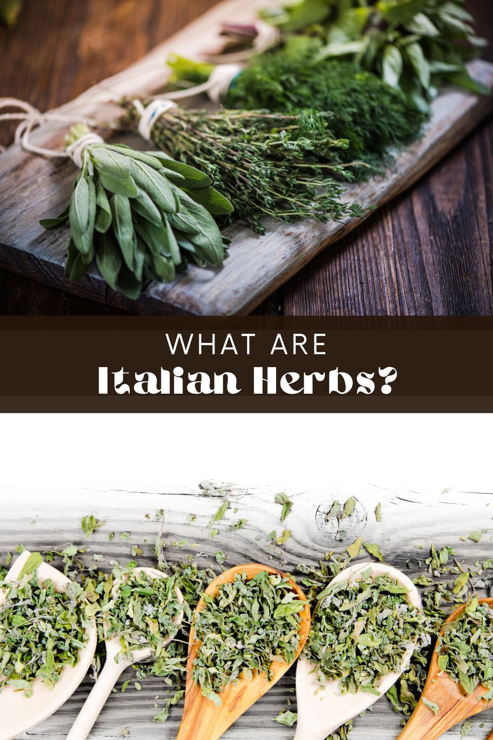 Full of aromatic natural goodness, Italian herbs offer a unique and delicious flavor to any dish. But while many of us have this wonderful seasoning mix on our spice rack, what exactly do Italian herbs consist of?