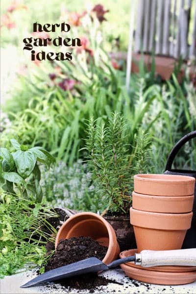 Herb Garden Ideas