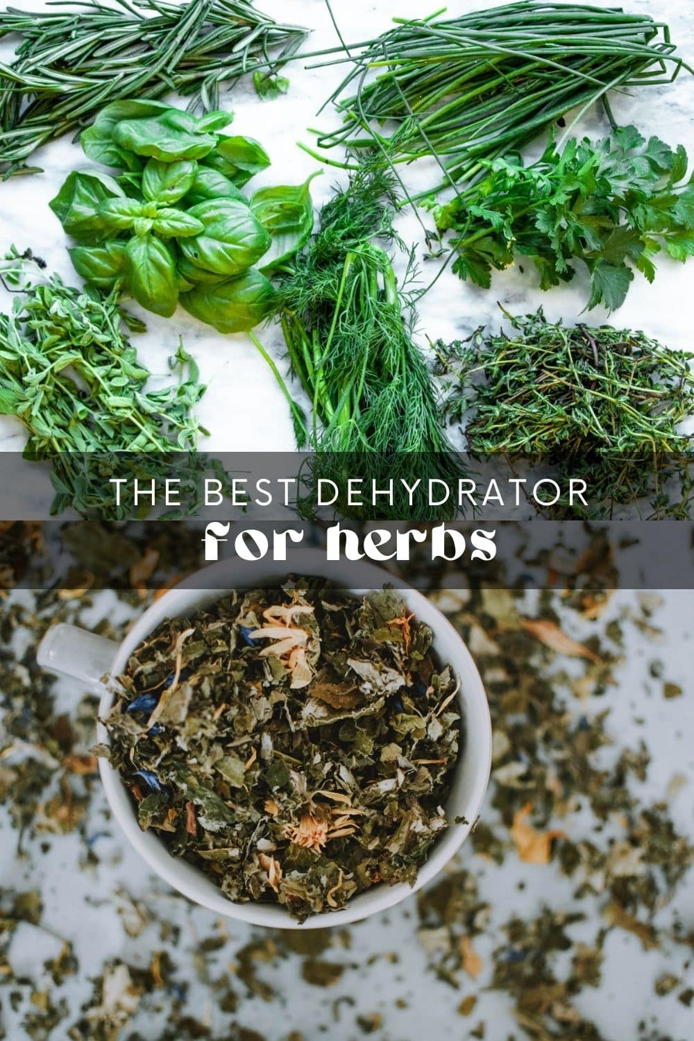 If you have a surplus of fresh herbs, dehydrating them is a great way to preserve their flavor and nutrients. Dried herbs can last for years, making them a cost-effective and convenient option for cooking! However, not all food dehydrators are suitable for drying herbs. Herbs are delicate and require gentle drying to retain their flavor, color, and aroma. 