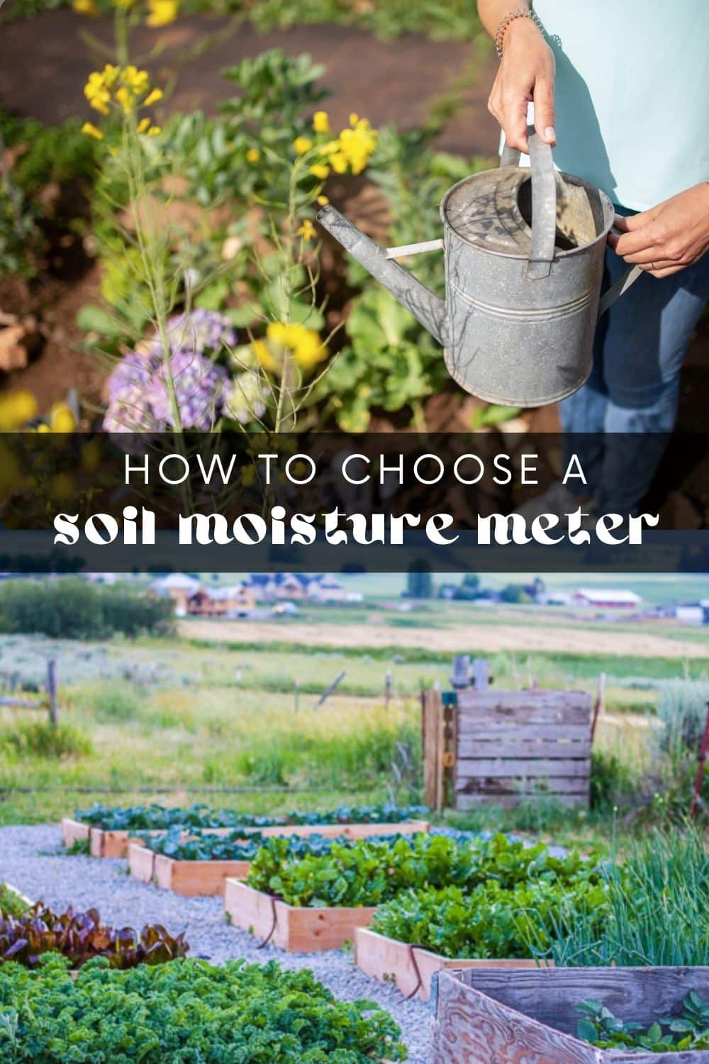 We all know that without water, plants cannot survive. But while a lack of water will kill a plant, too much can be just as hazardous. Navigating the right balance can be tricky, even for the most experienced gardener! Luckily, there is a tool that can help: a soil moisture meter.