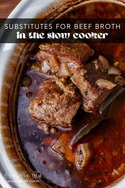 Substitutes for Beef Broth in Slow Cooker