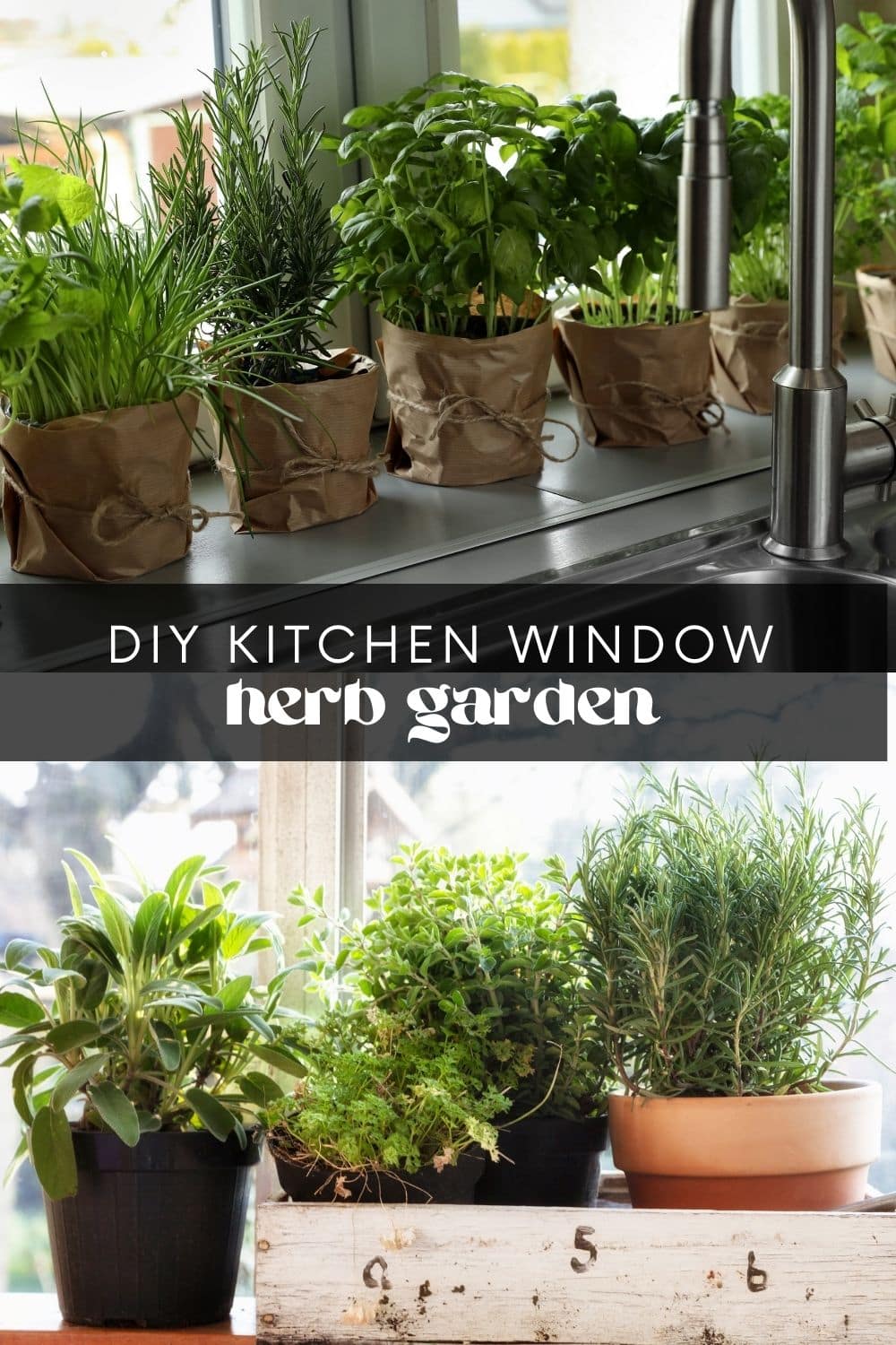 Herbs are a delightful addition to any kitchen and add so much flavor your dishes. If you have don’t have much space, a DIY window herb garden is the perfect solution. They’re easy to construct and cost very little, so you can have your own herb patch in no time!