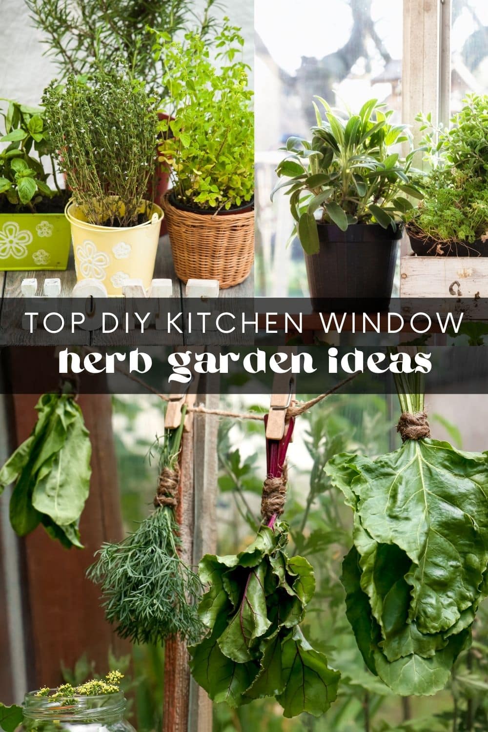Indoor Gardening: DIY Humidity/Drip Trays