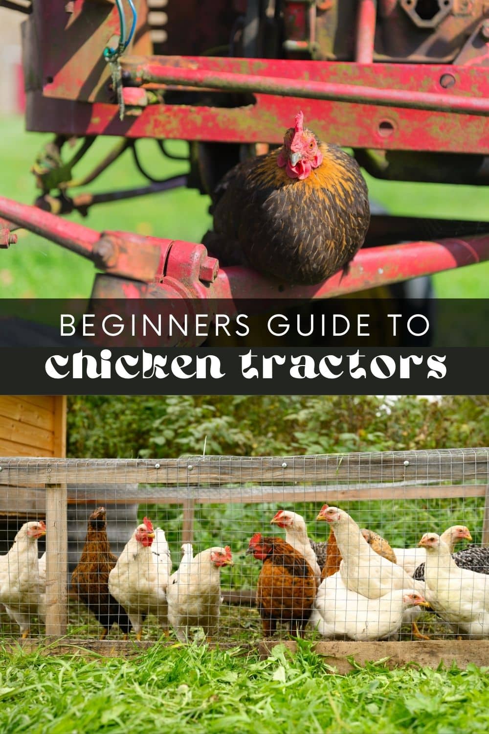 A chicken tractor is a portable chicken coop that can be easily moved around a yard or garden. It is designed to allow chickens to forage for insects and greens while providing them with a safe place to sleep and lay eggs. Chicken tractors can be a great way to have fresh eggs and fertilize your garden at the same time.