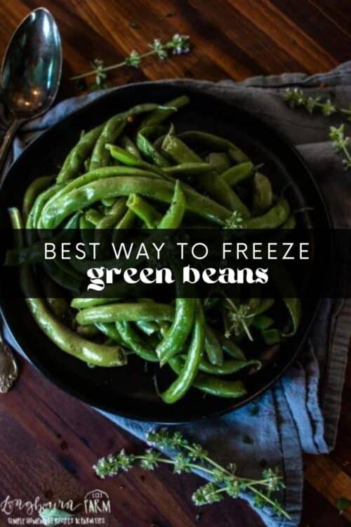 A black bowl filled with fresh green beans sits on a dark napkin atop a wooden table. Overlaid text reads, How do you freeze green beans? Small herbs are scattered nearby.