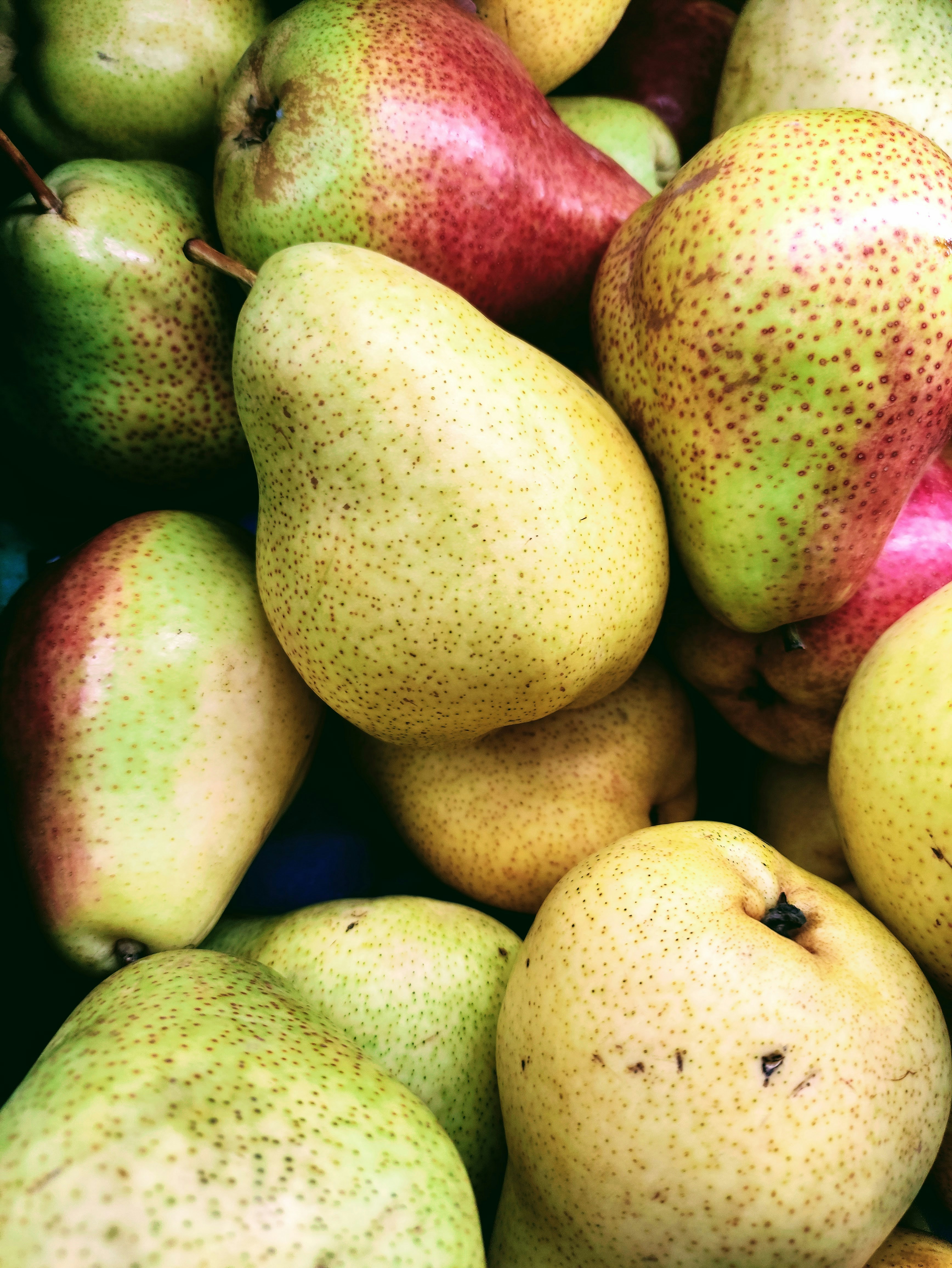 A close-up of several ripe pears with green and red speckled skin, piled together.